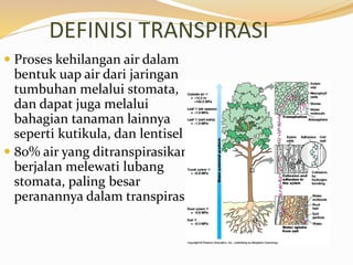 DEFINISI TRANSPIRASI
 Proses kehilangan air dalam
bentuk uap air dari jaringan
tumbuhan melalui stomata,
dan dapat juga melalui
bahagian tanaman lainnya
seperti kutikula, dan lentisel
 80% air yang ditranspirasikan
berjalan melewati lubang
stomata, paling besar
peranannya dalam transpirasi
 