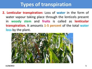 Transpiration | PPTX