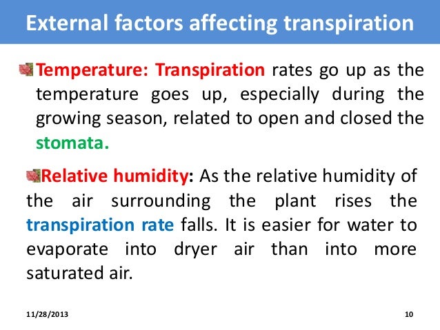 rate of transpiration The soil water content and the ability of the soil to conduct water to the roots also determine the transpiration rate, the evapotranspiration rate from a. rate of transpiration The soil water content and the ability of the soil to conduct water to the roots also determine the transpiration rate, the evapotranspiration rate from a.