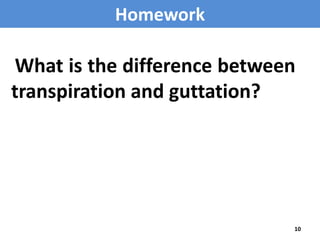 Homework

What is the difference between
transpiration and guttation?

10

 