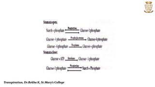 Transpiration, Dr.Rekha K, St.Mary’s College
 