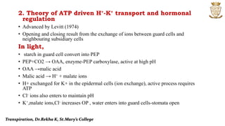 2. Theory of ATP driven H+-K+ transport and hormonal
regulation
• Advanced by Levitt (1974)
• Opening and closing result from the exchange of ions between guard cells and
neighbouring subsidiary cells
In light,
• starch in guard cell convert into PEP
• PEP+CO2 → OAA, enzyme-PEP carboxylase, active at high pH
• OAA →malic acid
• Malic acid → H+ + malate ions
• H+ exchanged for K+ in the epidermal cells (ion exchange), active process requires
ATP
• Cl- ions also enters to maintain pH
• K+,malate ions,Cl- increases OP , water enters into guard cells-stomata open
Transpiration, Dr.Rekha K, St.Mary’s College
 