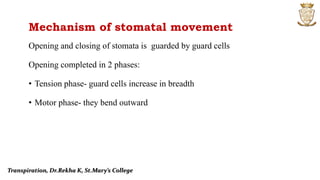 Mechanism of stomatal movement
Opening and closing of stomata is guarded by guard cells
Opening completed in 2 phases:
• Tension phase- guard cells increase in breadth
• Motor phase- they bend outward
Transpiration, Dr.Rekha K, St.Mary’s College
 