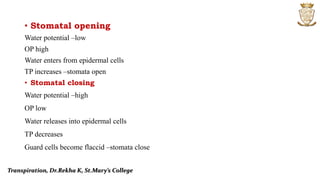 • Stomatal opening
Water potential –low
OP high
Water enters from epidermal cells
TP increases –stomata open
• Stomatal closing
Water potential –high
OP low
Water releases into epidermal cells
TP decreases
Guard cells become flaccid –stomata close
Transpiration, Dr.Rekha K, St.Mary’s College
 