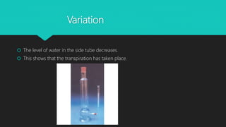 Variation
 The level of water in the side tube decreases.
 This shows that the transpiration has taken place.
 