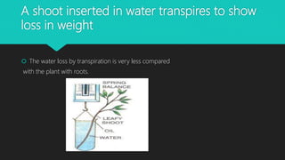 A shoot inserted in water transpires to show
loss in weight
 The water loss by transpiration is very less compared
with the plant with roots.
 