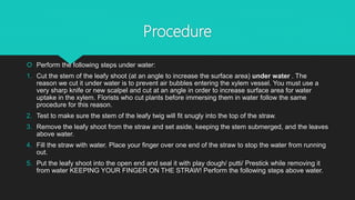 Procedure
 Perform the following steps under water:
1. Cut the stem of the leafy shoot (at an angle to increase the surface area) under water . The
reason we cut it under water is to prevent air bubbles entering the xylem vessel. You must use a
very sharp knife or new scalpel and cut at an angle in order to increase surface area for water
uptake in the xylem. Florists who cut plants before immersing them in water follow the same
procedure for this reason.
2. Test to make sure the stem of the leafy twig will fit snugly into the top of the straw.
3. Remove the leafy shoot from the straw and set aside, keeping the stem submerged, and the leaves
above water.
4. Fill the straw with water. Place your finger over one end of the straw to stop the water from running
out.
5. Put the leafy shoot into the open end and seal it with play dough/ putti/ Prestick while removing it
from water KEEPING YOUR FINGER ON THE STRAW! Perform the following steps above water.
 