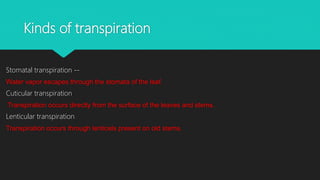 Kinds of transpiration
Stomatal transpiration --
Water vapor escapes through the stomata of the leaf.
Cuticular transpiration
Transpiration occurs directly from the surface of the leaves and stems.
Lenticular transpiration
Transpiration occurs through lenticels present on old stems.
 