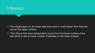 Inference
 The cobalt paper on the lower side turns pink in much lesser time than the
one on the upper surface.
 This shows that more transpiration occurs from the lower surface of the
leaf which is due to more number of stomata on the lower surface.
 