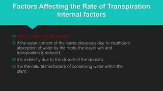 Factors Affecting the Rate of Transpiration
Internal factors
 Water content of the leaves:
 If the water content of the leaves decreases due to insufficient
absorption of water by the roots, the leaves wilt and
transpiration is reduced.
 It is indirectly due to the closure of the stomata.
 It is the natural mechanism of conserving water within the
plant.
 