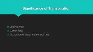 Significance of Transpiration
 Cooling effect
 Suction force
 Distribution of water and mineral salts
 