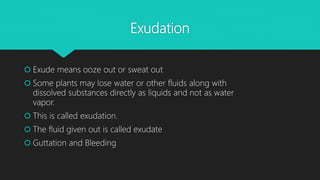 Exudation
 Exude means ooze out or sweat out
 Some plants may lose water or other fluids along with
dissolved substances directly as liquids and not as water
vapor.
 This is called exudation.
 The fluid given out is called exudate
 Guttation and Bleeding
 