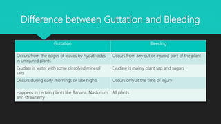 Difference between Guttation and Bleeding
Guttation Bleeding
Occurs from the edges of leaves by hydathodes
in uninjured plants
Occurs from any cut or injured part of the plant
Exudate is water with some dissolved mineral
salts
Exudate is mainly plant sap and sugars
Occurs during early mornings or late nights Occurs only at the time of injury
Happens in certain plants like Banana, Nasturium
and strawberry
All plants
 