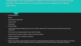 Transpiration is the evaporation of water from the surface of leaves through
stomata. The phenomenon of transpiration can be explained by Bell jar
experiment.
 REQUIREMENTS:
• Bell jar
• Well watered potted plant
• Rubber sheet
• Glass plate
 PROCEDURE:
• Take the well watered potted plant and cover it with the rubber sheet. The aerial parts of the plant should be left
uncovered.
• Put the plant on the glass plate and cover with the bell jar.
• Prepare a same setup but without a plant in the second bell jar.
• Place the apparatus in sunlight for sometime.
 OBSERVATIONS:
 Water drops appear inside the walls of the bell jar containing potted plant whereas no water drops appear in the bell jar
without a plant. This demonstrates that water is evaporated from the surface of leaves in presence of sunlight.
 