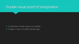 Double visual proof of transpiration
 Condensation of water vapour into droplets.
 Change in colour of Cobalt-Chloride Paper.
 