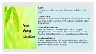 Light:
stomata open when exposed to illumination and close in the
dark.
Temperature:
When all other factors are equal, stomatal opening increases with
rise in temperature up to 25°- 30°C and decreases at still higher
temperatures.
Mineral deficiencies:
With the deficiency of any of minerals such as, nitrogen,
phosphorus and potassium, the stomatal movements become
sluggish. Different ions affect the stomatal aperture differently.
Mechanical shock:
Various types of shocks, such as rough handling of leaves may
result in stomatal closure. It is found that stomata may close in
light when nearby tissue is wounded.
 