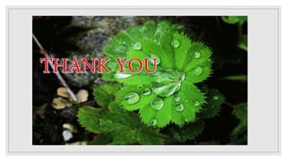 Transpiration and its types