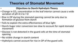 Theories of Stomatal Movement
• Objections to Starch Hydrolysis Theory
• Change in CO2 concentration in the leaf interior cannot cause a wide
variation of pH-4.5 to 7.0
• Rise in OP during the stomatal opening cannot be only due to
formation of glucose from starch
• Fails to explain the extra-effectiveness of blue light
• Starch-Sugar inter conversion too slow to account for rapid stomatal
movement
• Glucose is not detected in the guard cells at the time of stomatal
opening
• No visible change in starch content
• Hydrolysis cannot account for rise in OP of the guard cells
 