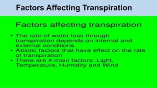 Factors Affecting Transpiration
 
