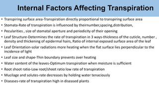 Internal Factors Affecting Transpiration
• Transpiring surface area-Transpiration directly proportional to transpiring surface area
• Stomata-Rate of transpiration is influenced by theirnumber,spacing,distribution,
• Pecularities , size of stomatal aperture and periodicity of their opening
• Leaf Structure-Determines the rate of transpiration in 3 ways-thickness of the cuticle, number ,
density and thickening of epidermal hairs, Ratio of internal exposed surface area of the leaf
• Leaf Orientation-solar radiations more heating when the flat surface lies perpendicular to the
incidence of light
• Leaf size and shape-Thin boundary prevents over heating
• Water content of the leaves-Optimum transpiration when moisture is sufficient
• Root shoot ratio-Low root/shoot ratio low rate of transpiration
• Mucilage and solutes-rate decreases by holding water tenaciously
• Diseases-rate of transpiration high in diseased plants
 