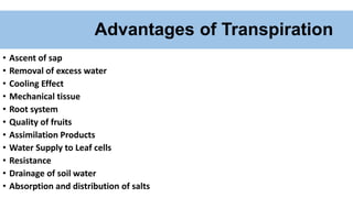 Advantages of Transpiration
• Ascent of sap
• Removal of excess water
• Cooling Effect
• Mechanical tissue
• Root system
• Quality of fruits
• Assimilation Products
• Water Supply to Leaf cells
• Resistance
• Drainage of soil water
• Absorption and distribution of salts
 