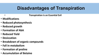 Disadvantages of Transpiration
• Transpiration is an Essential Evil
• Modifications
• Reduced photosynthesis
• Reduced growth
• Formation of AbA
• Reduced Yield
• Desiccation
• Breakdown of organic compounds
• Fall in metabolism
• Formation of proline
• Accumulation of Betaine
 
