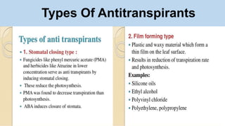 Types Of Antitranspirants
 