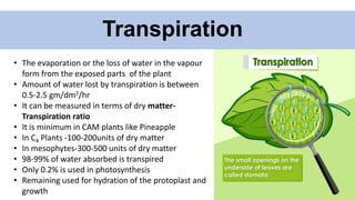 Transpiration
• The evaporation or the loss of water in the vapour
form from the exposed parts of the plant
• Amount of water lost by transpiration is between
0.5-2.5 gm/dm2/hr
• It can be measured in terms of dry matter-
Transpiration ratio
• It is minimum in CAM plants like Pineapple
• In C4 Plants -100-200units of dry matter
• In mesophytes-300-500 units of dry matter
• 98-99% of water absorbed is transpired
• Only 0.2% is used in photosynthesis
• Remaining used for hydration of the protoplast and
growth
 