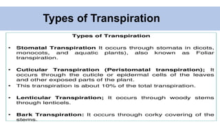 Types of Transpiration
 
