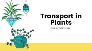 Transport in
Plants
TOPIC 3: TRANSPIRATION
 