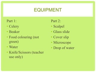 EQUIPMENT
Part 1:
• Celery
• Beaker
• Food colouring (not
green)
• Water
• Knife/Scissors (teacher
use only)

Part 2:
• Scalpel
• Glass slide
• Cover slip
• Microscope
• Drop of water

 