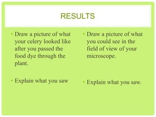 RESULTS
Part 1
• Draw a picture of what your celery looked like after you
passed the food dye through the plant.
• Explain what you saw
Part 2
• Draw a picture of what you could see in the field of view of
your microscope.
• Explain what you saw.

 