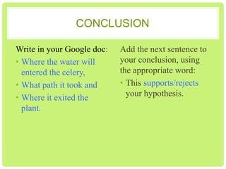 CONCLUSION
Write in your Google doc:
• Where the water will
entered the celery,
• What path it took and
• Where it exited the plant.
Add the next sentence to
your conclusion, using the
appropriate word:
• This supports/rejects your
hypothesis.

 