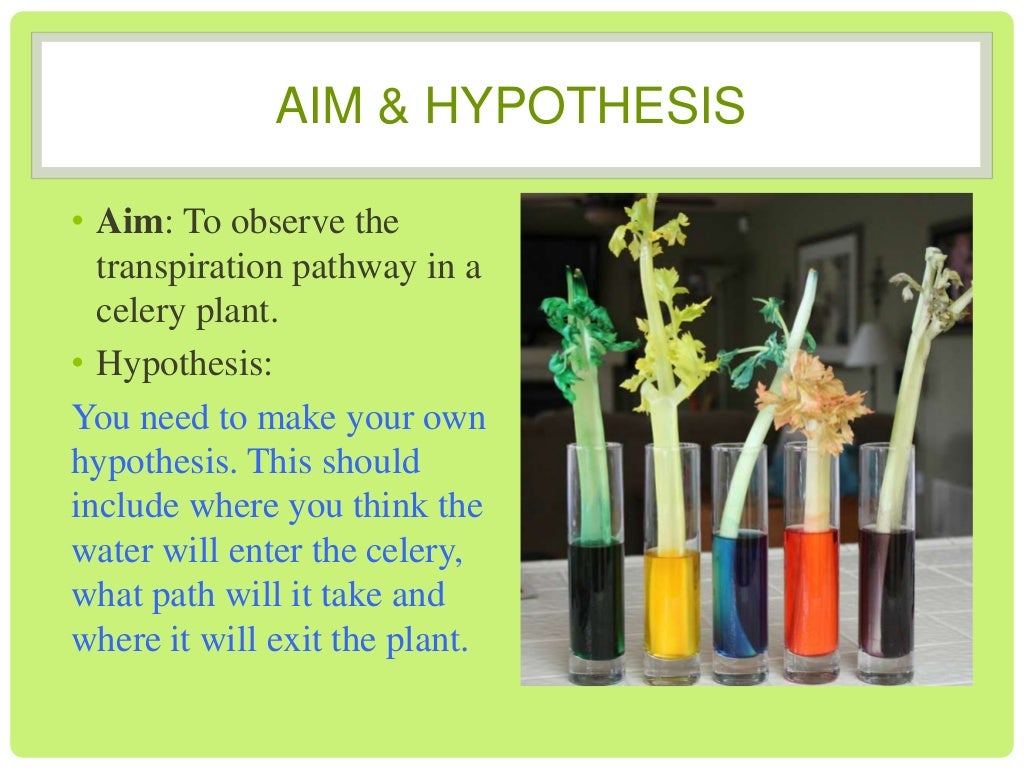 Transpiration experiment