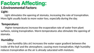 Transpiration in plants-Plant physiology.pptx
