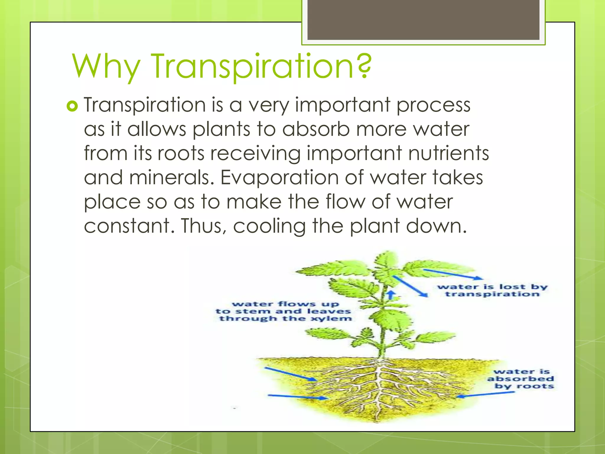 Why Transpiration?
Transpiration is a very important process
as it allows plants to absorb more water
from its roots receiving important nutrients
and minerals. Evaporation of water takes
place so as to make the flow of water
constant. Thus, cooling the plant down.