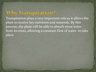 Transpiration plays a very important role as it allows the
plant to receive key nutrients and minerals. By this
process, the plant will be able to absorb more water
from its roots, allowing a constant flow of water to take
place.
 