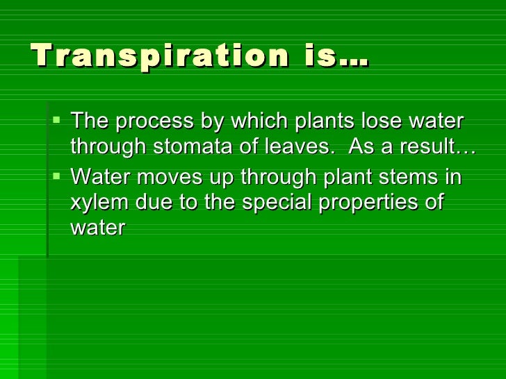 Transpiration Lab