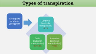 Aerial parts
of whole
young plant
Lenticels
(lenticular
transpiration)
0.1%
Cutin
(cuticular
transpiration)
3%~10%
Stomatum
(stomatal
transpiration)
~ 90%
Types of transpiration
 