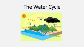 The Water Cycle
 