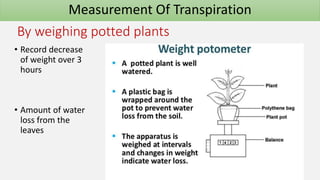 By weighing potted plants
• Record decrease
of weight over 3
hours
• Amount of water
loss from the
leaves
Measurement Of Transpiration
 