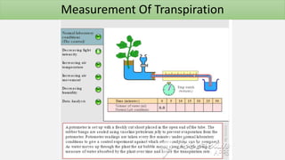 Measurement Of Transpiration
 