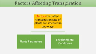 Factors that affect
transpiration rate of
plants are smeared in
two ways-
Plants Parameters
Environmental
Conditions
Factors Affecting Transpiration
 