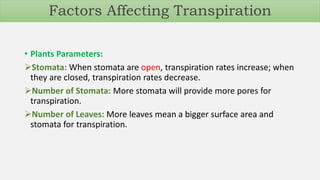 • Plants Parameters:
Stomata: When stomata are open, transpiration rates increase; when
they are closed, transpiration rates decrease.
Number of Stomata: More stomata will provide more pores for
transpiration.
Number of Leaves: More leaves mean a bigger surface area and
stomata for transpiration.
Factors Affecting Transpiration
 