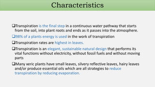 Transpiration is the final step in a continuous water pathway that starts
from the soil, into plant roots and ends as it passes into the atmosphere.
98% of a plants energy is used in the work of transpiration
Transpiration rates are highest in leaves.
Transpiration is an elegant, sustainable natural design that performs its
vital functions without electricity, without fossil fuels and without moving
parts
Many xeric plants have small leaves, silvery reflective leaves, hairy leaves
and/or produce essential oils which are all strategies to reduce
transpiration by reducing evaporation.
Characteristics
 