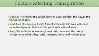 Cuticle: The thicker the cuticle layer on a leaf surface, the slower the
transpiration rate.
Leaf Area (Transpiring Area): A plant with large leaf area will show
more transpiration than another plant with less leaf area
Root/Shoot Ratio: A low root/shoot ratio decreases the rate of
transpiration while a high ratio increases the rate of transpiration.
Factors Affecting Transpiration
 
