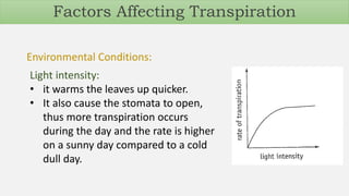 Environmental Conditions:
Light intensity:
• it warms the leaves up quicker.
• It also cause the stomata to open,
thus more transpiration occurs
during the day and the rate is higher
on a sunny day compared to a cold
dull day.
Factors Affecting Transpiration
 