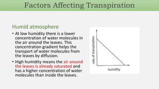 Humid atmosphere
• At low humidity there is a lower
concentration of water molecules in
the air around the leaves. This
concentration gradient helps the
transport of water molecules from
the leaves by diffusion.
• High humidity means the air around
the leaves is already saturated and
has a higher concentration of water
molecules than inside the leaves.
Factors Affecting Transpiration
 