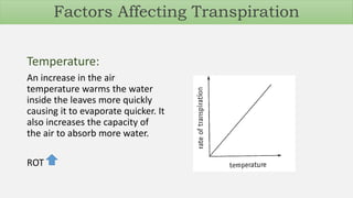 Temperature:
An increase in the air
temperature warms the water
inside the leaves more quickly
causing it to evaporate quicker. It
also increases the capacity of
the air to absorb more water.
ROT
Factors Affecting Transpiration
 