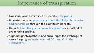 • Transpiration is a very useful procedure for plants-
oIt creates negative pressure gradient that helps draw water
and minerals up through the plant from its roots.
oHelps to keep the plant cool on hot weather- a method of
evaporating cooling.
oSupports photosynthesis and encourages the exchange of
gases, helping maintain levels of CO2 and O2 in the
atmosphere.
Importance of transpiration
 